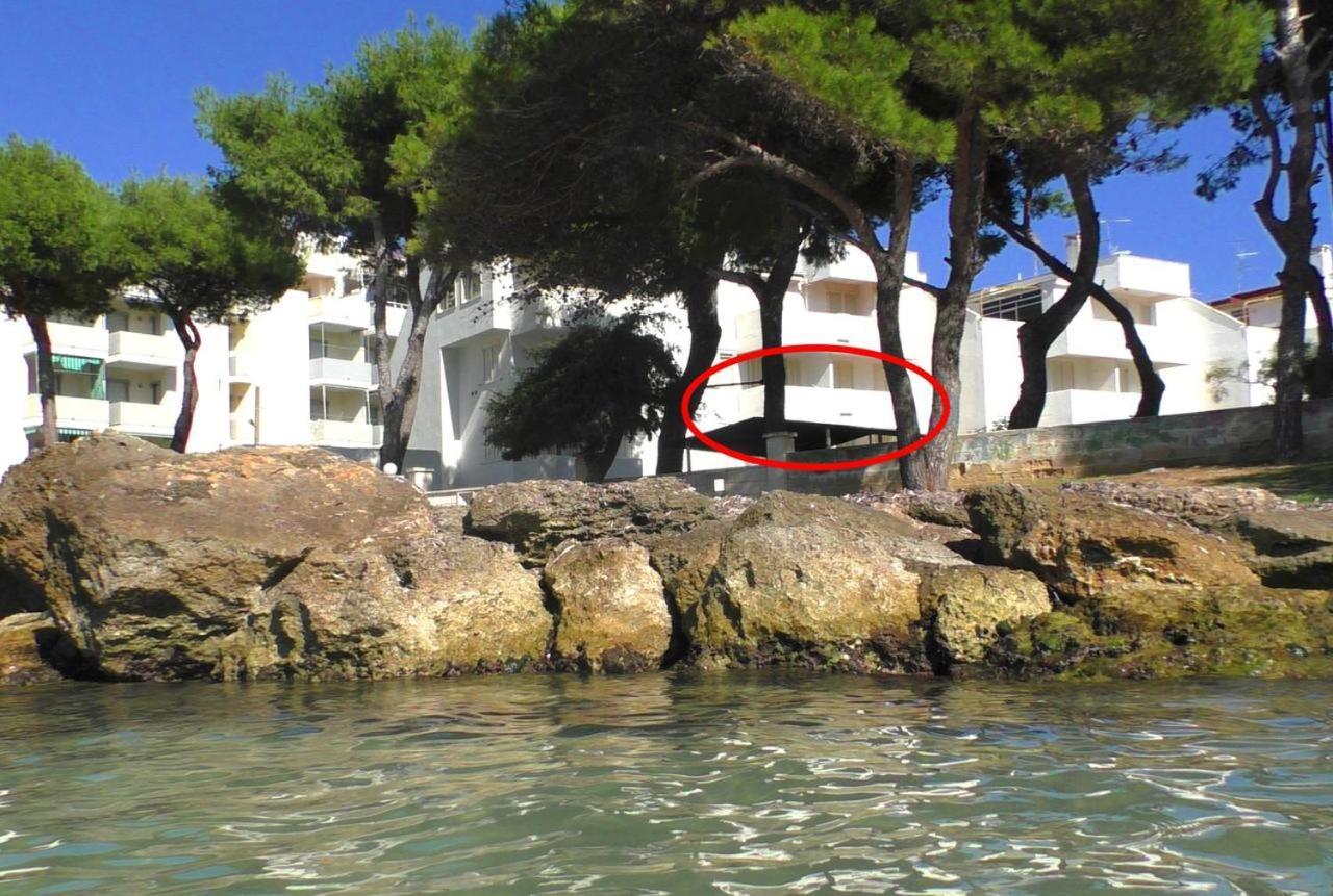 Apartment La Caletta